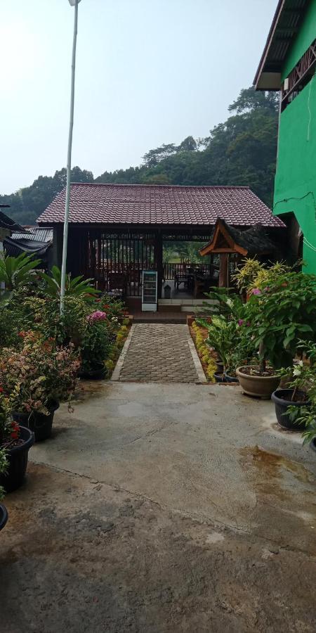 Ida Guest House & Restaurant Bukit Lawang Kültér fotó